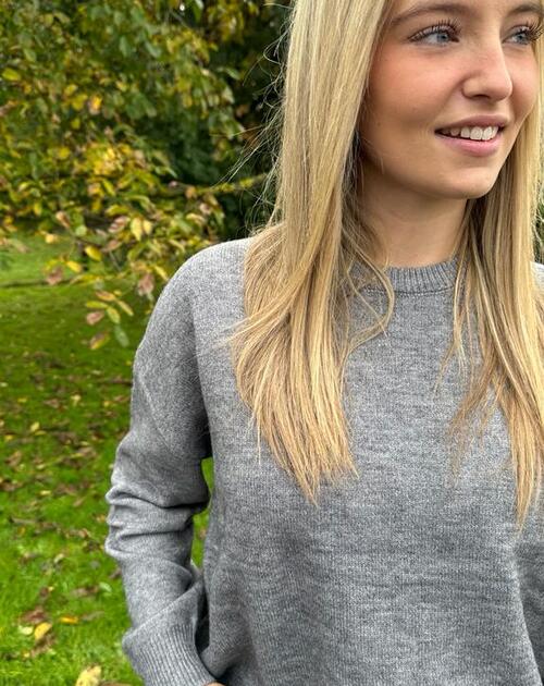 trui lange mouw Fleur ronde hals camel