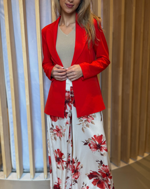blazer  - 2