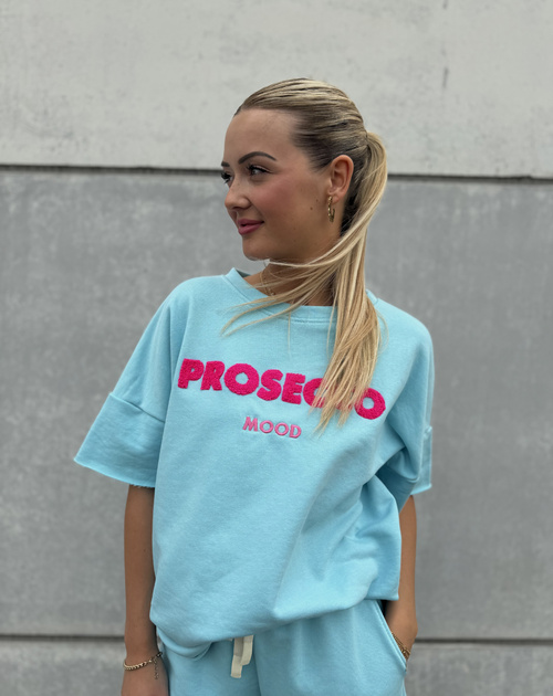 Sweater korte mouw prosecco