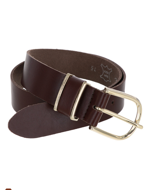 Riem slot goudkleur