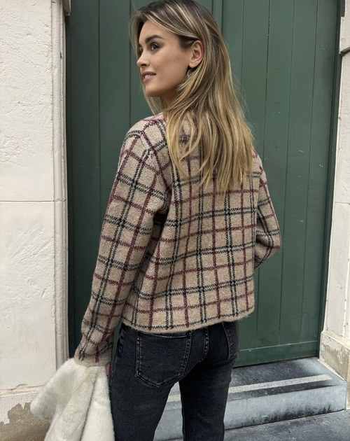 gilet geruit - 2