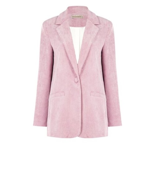 Blazer velours